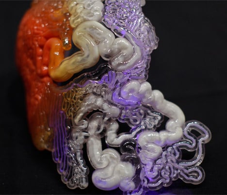 Neri Oxman's photosynthetic wearable