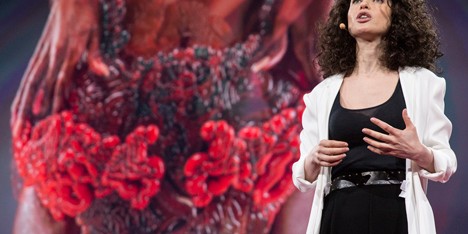 Neri Oxman's photosynthetic wearable