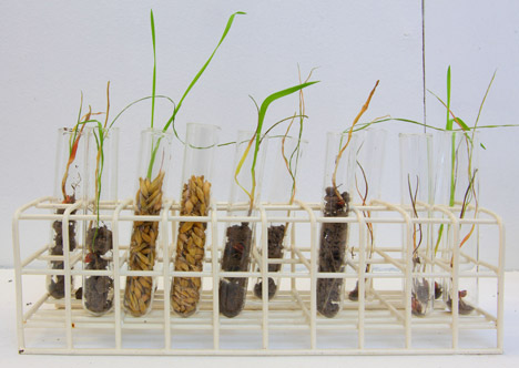 Soil and Water exhibition at the Dizajn BWA gallery