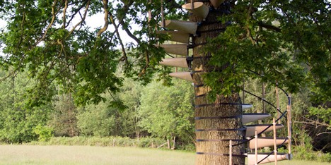CanopyStair by Thor ter Kulve and Rob McIntyre