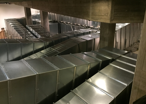 Carsten Höller: Decisions at the Hayward Gallery
