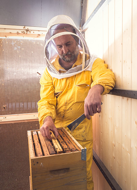 Honey Factory by Francesco Faccin