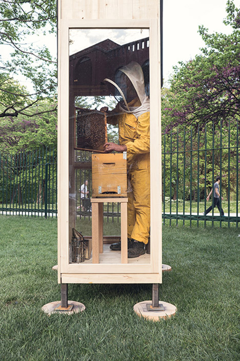 Honey Factory by Francesco Faccin