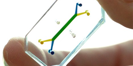 Human Organs-on-Chips by the Wyss Institutue, Harvard University
