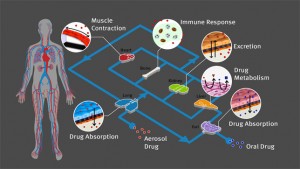 Human Organs-on-Chips by the Wyss Institutue, Harvard University