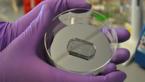 Human Organs-on-Chips by the Wyss Institutue, Harvard University