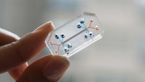 Human Organs-on-Chips by the Wyss Institutue, Harvard University