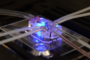 Human Organs-on-Chips by the Wyss Institutue, Harvard University