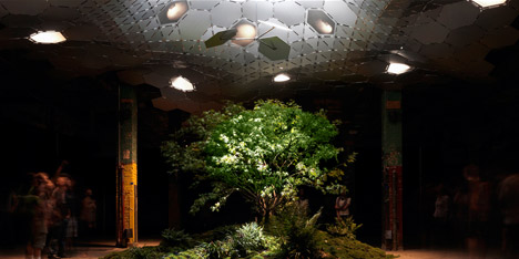 Lowline underground park in New York