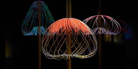 Elaine Yan Ling Ng’s interactive Sundew installation coils in response to movement
