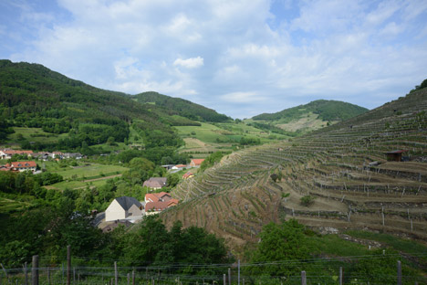 Vineyard Högl by Ludescher-Lutz Architects