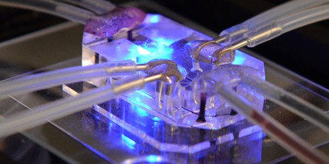 Harvard Human Organ on Chip wins Design of the Year 2015