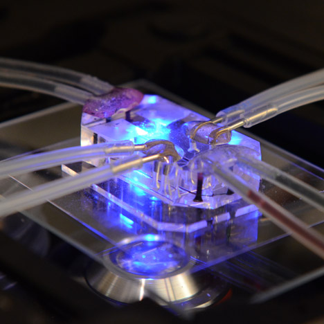 Harvard Human Organ on Chip wins Design of the Year 2015