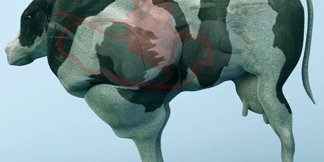 The Cow of Tomorrow by Paul Gong