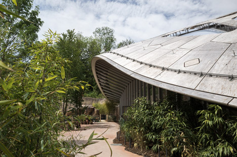 Elephant House by MSA