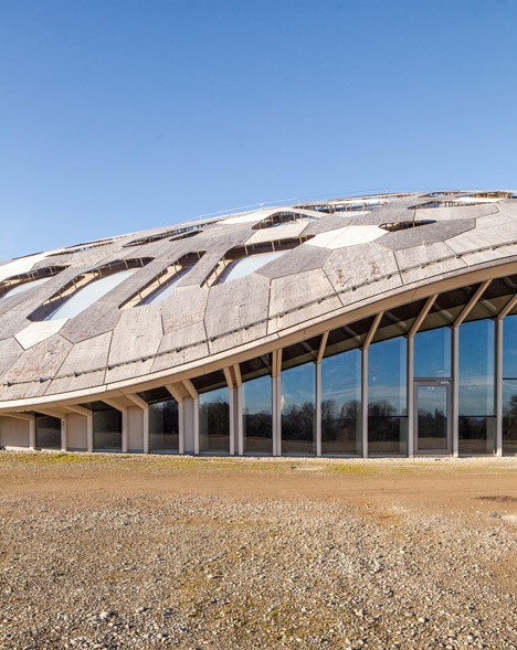 Elephant House by MSA