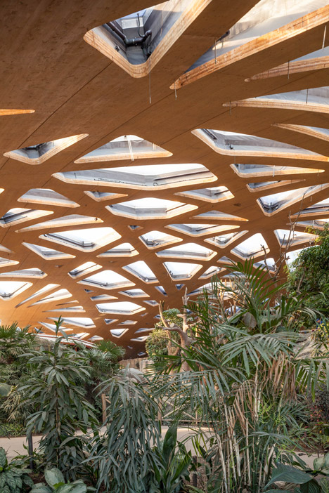 Elephant House by MSA