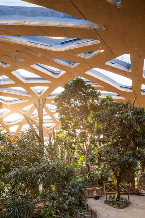 Elephant House by MSA