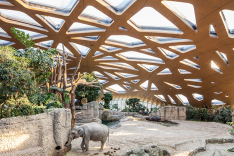 Elephant House by MSA