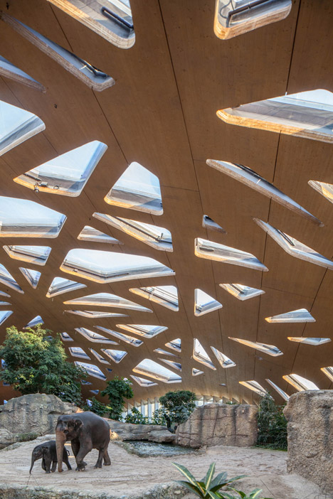 Elephant House by MSA