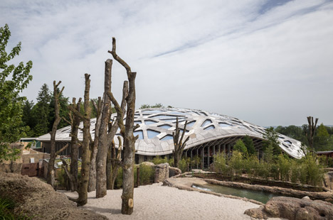 Elephant House by MSA
