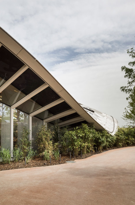 Elephant House by MSA