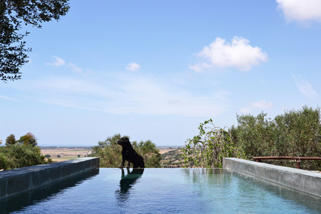 Fontanile Pool by Matteo Bianchi and Francesco Napolitano