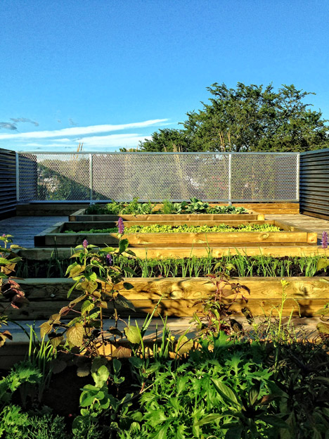 Live/Work/Grow House in Halifax
