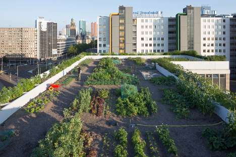 Luchtsingel by ZUS