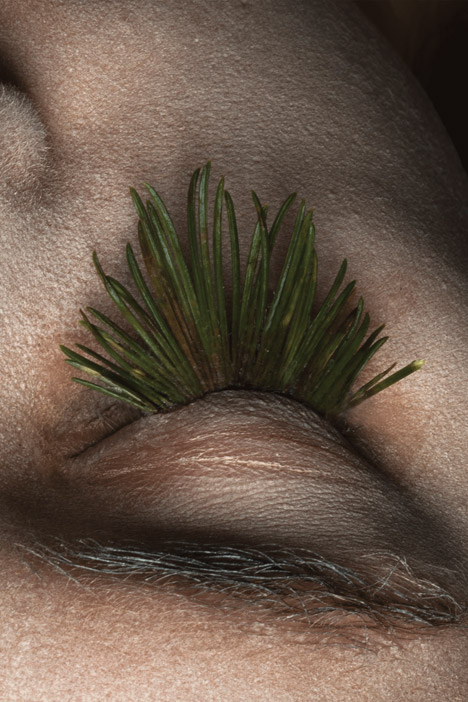 Natural eyelashes by Mary Graham