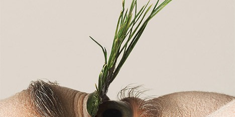 Natural eyelashes by Mary Graham