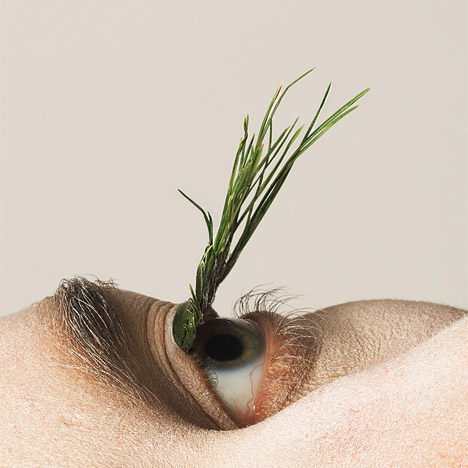 Natural eyelashes by Mary Graham