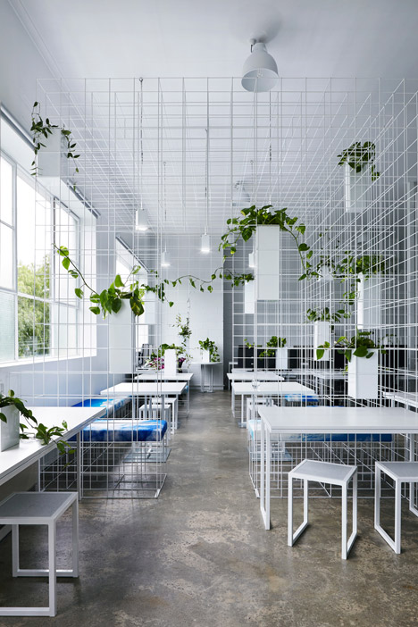 Squint Opera Australia by Sibling