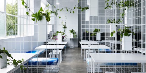 Squint Opera Australia by Sibling