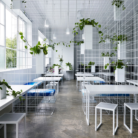 Squint Opera Australia by Sibling