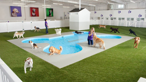 The ARK animal terminal at JFK by Gensler