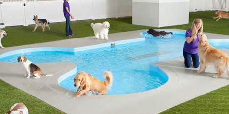 The ARK animal terminal at JFK by Gensler