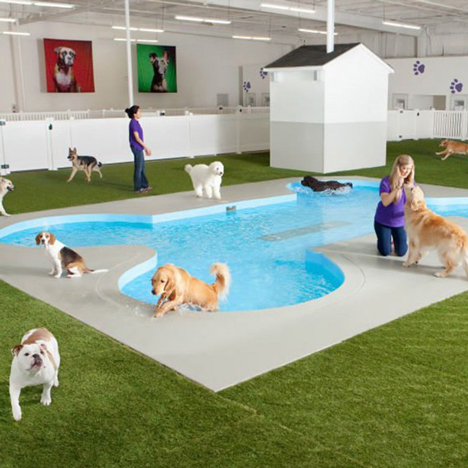 The ARK animal terminal at JFK by Gensler