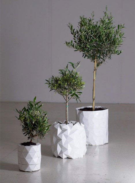 Growth by Begum Ayaskan and Bike Ayaskan
