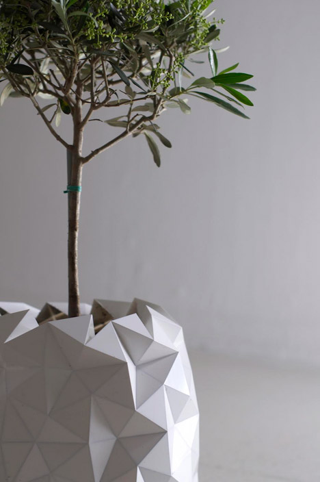 Growth by Begum Ayaskan and Bike Ayaskan