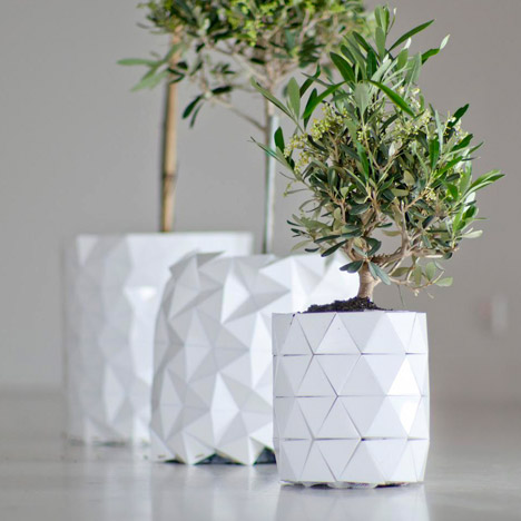 Growth by Begum Ayaskan and Bike Ayaskan