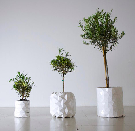 Growth by Begum Ayaskan and Bike Ayaskan
