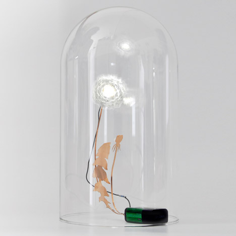 Plants Out of Place by Coloni and Studio Aikieu