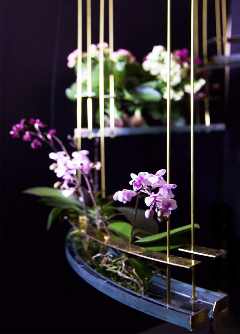 Plants Out of Place by Coloni and Studio Aikieu