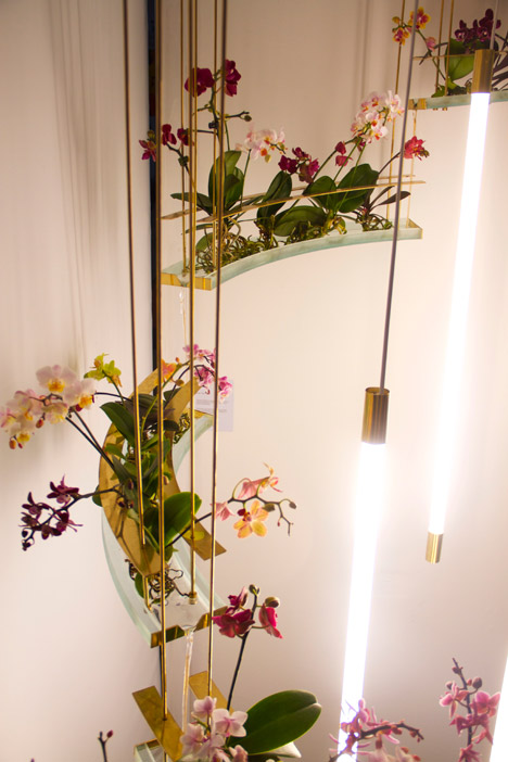 Plants Out of Place by Coloni and Studio Aikieu