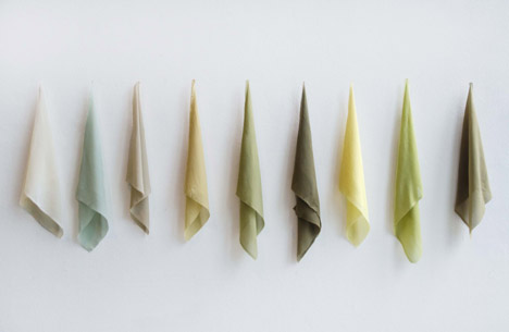 Plants Out of Place by Coloni and Studio Aikieu