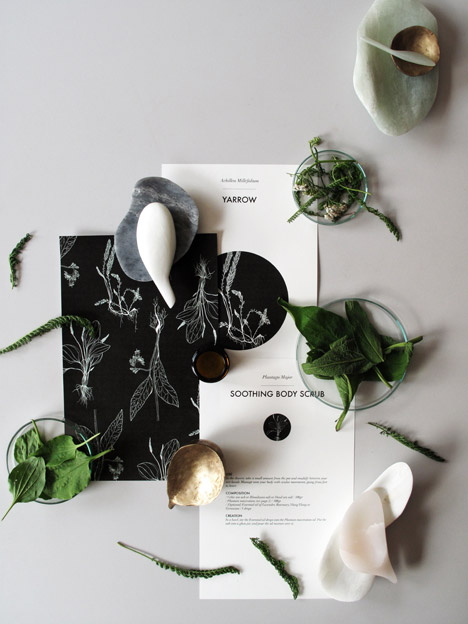 Plants Out of Place by Coloni and Studio Aikieu