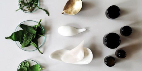 Plants Out of Place by Coloni and Studio Aikieu