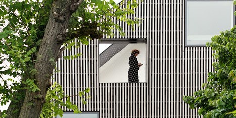 FELT slots three new homes into an old Ghent townhouse and reclads it with strips of wood