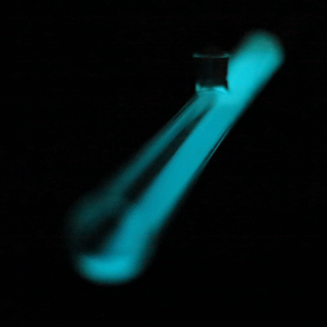 Design using bacteria: Bacterial Lamp by Teresa van Dongen
